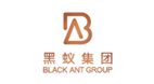 黑蚁集团
