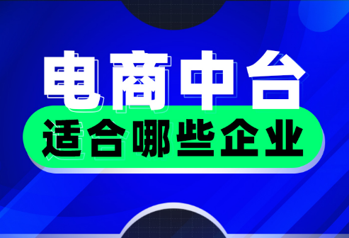 电商中台适合哪些企业 